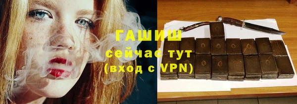 крисы Новодвинск