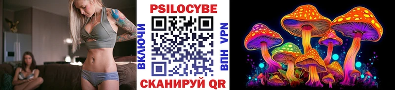 Псилоцибиновые грибы Cubensis  Правдинск 